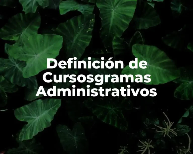 Definición de Cursosgramas Administrativos