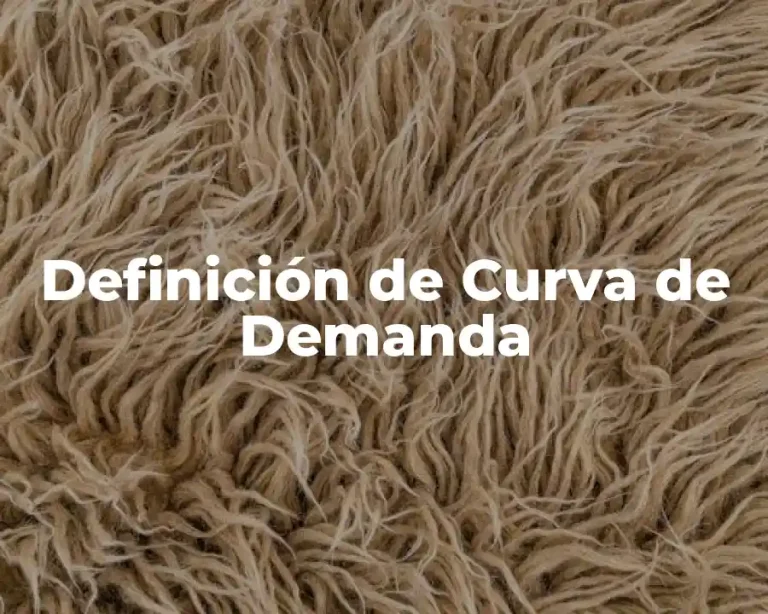 Definición de Curva de Demanda