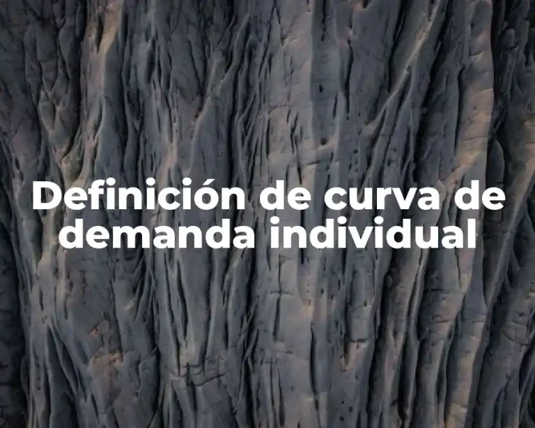 Definición de curva de demanda individual