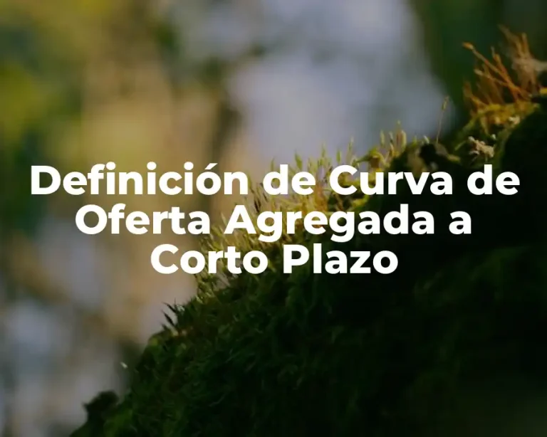 Definición de Curva de Oferta Agregada a Corto Plazo