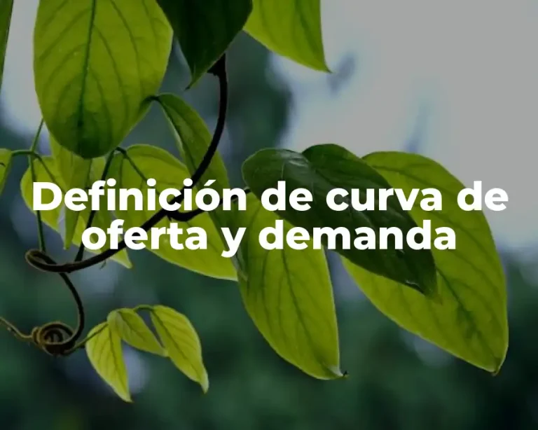 Definición de curva de oferta y demanda