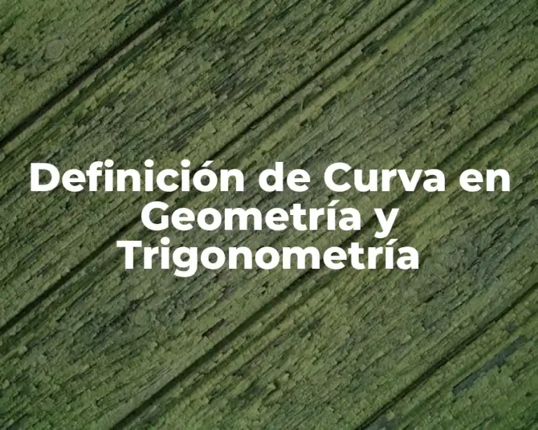 Definición de Curva en Geometría y Trigonometría