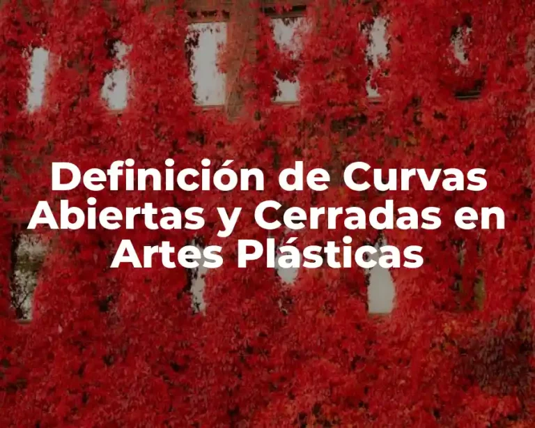 Definición de Curvas Abiertas y Cerradas en Artes Plásticas