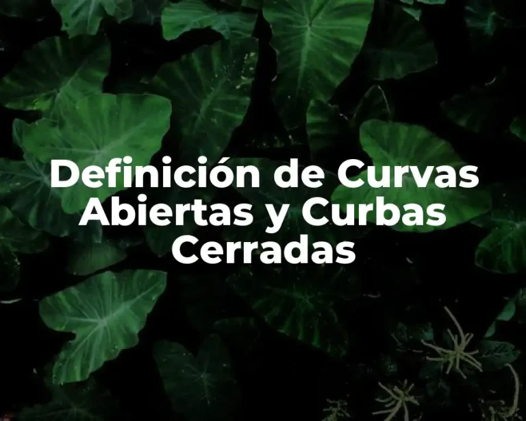 Definición de Curvas Abiertas y Curbas Cerradas