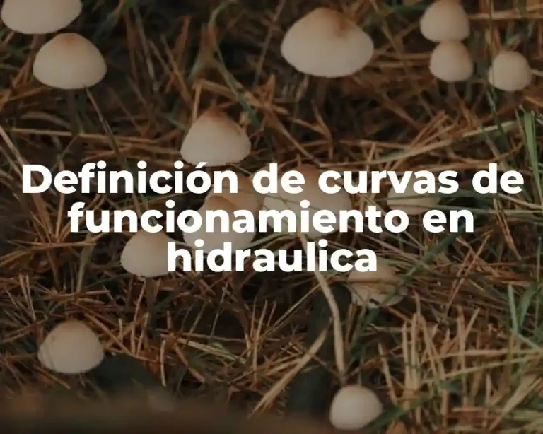 Definición de curvas de funcionamiento en hidraulica