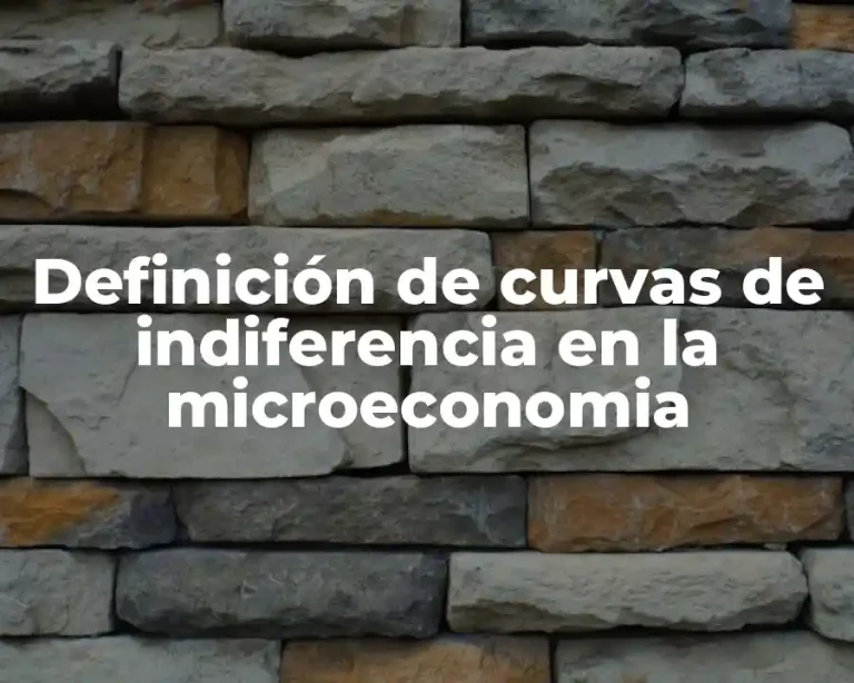 Definición de curvas de indiferencia en la microeconomia