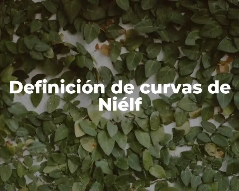 Definición de curvas de Niélf