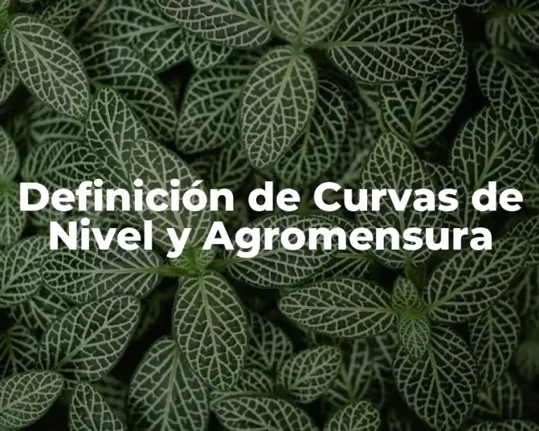 Definición de Curvas de Nivel y Agromensura