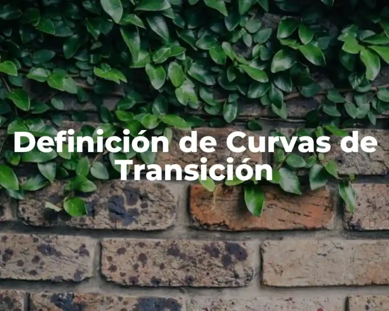 Definición de Curvas de Transición