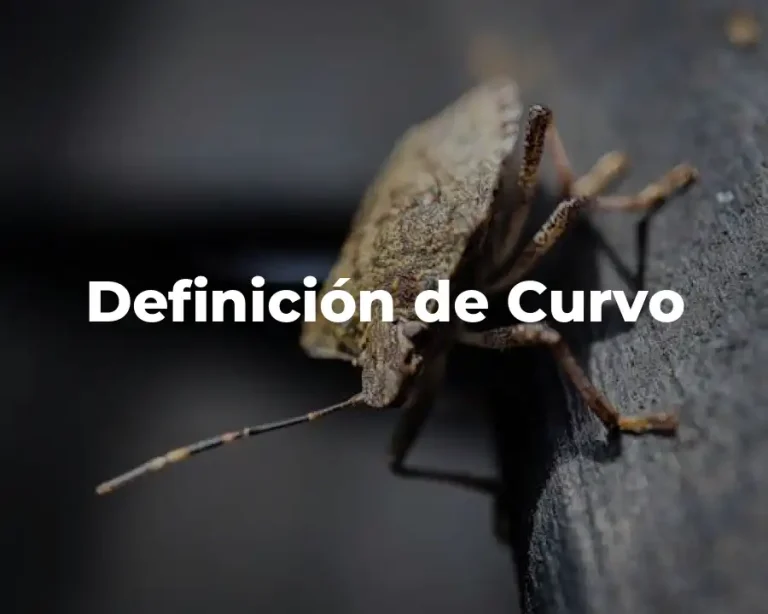 Definición de Curvo