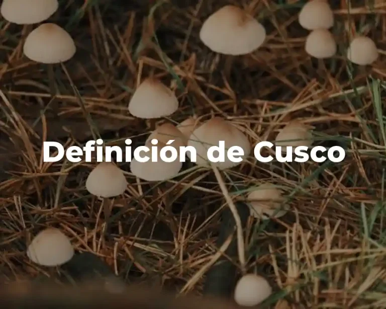 Definición de Cusco