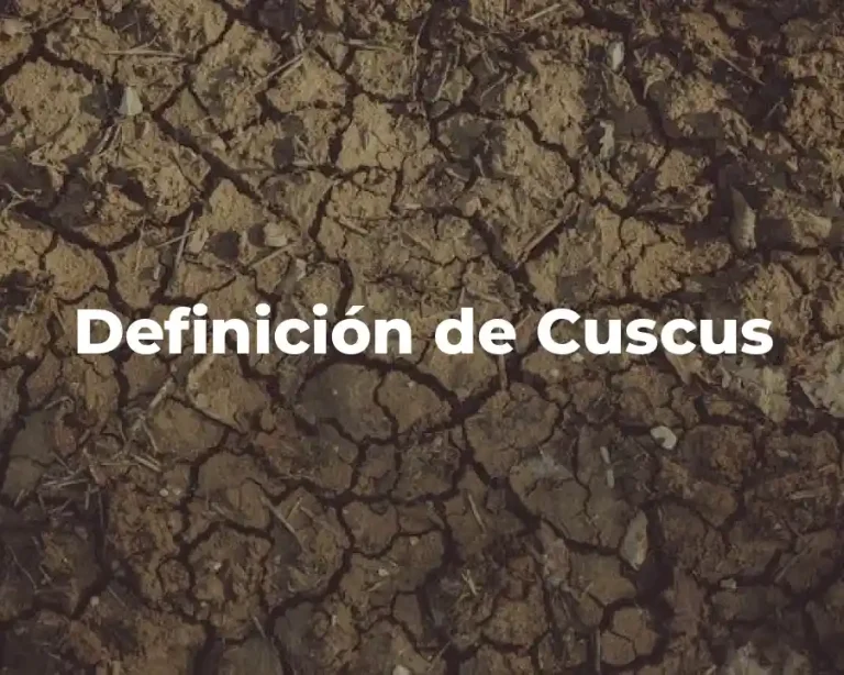 Definición de Cuscus