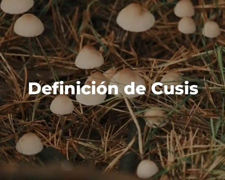 Definición de Cusis