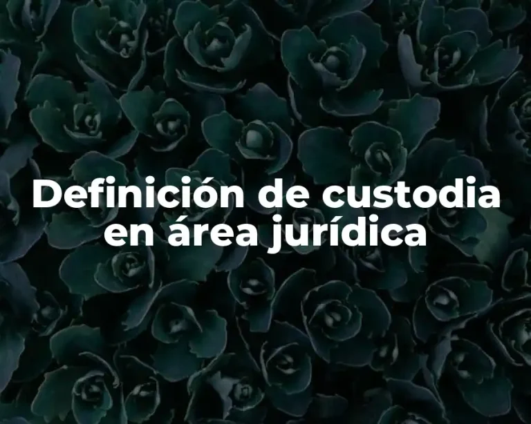 Definición de custodia en área jurídica