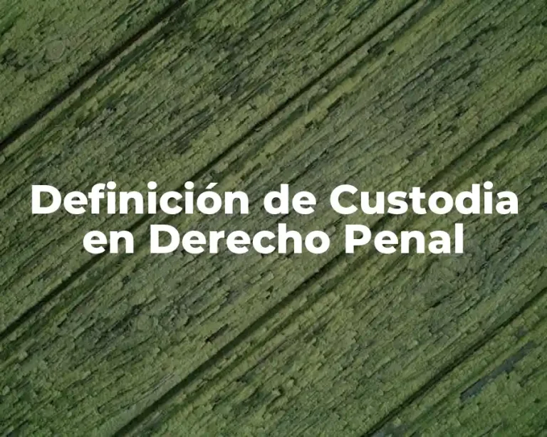 Definición de Custodia en Derecho Penal