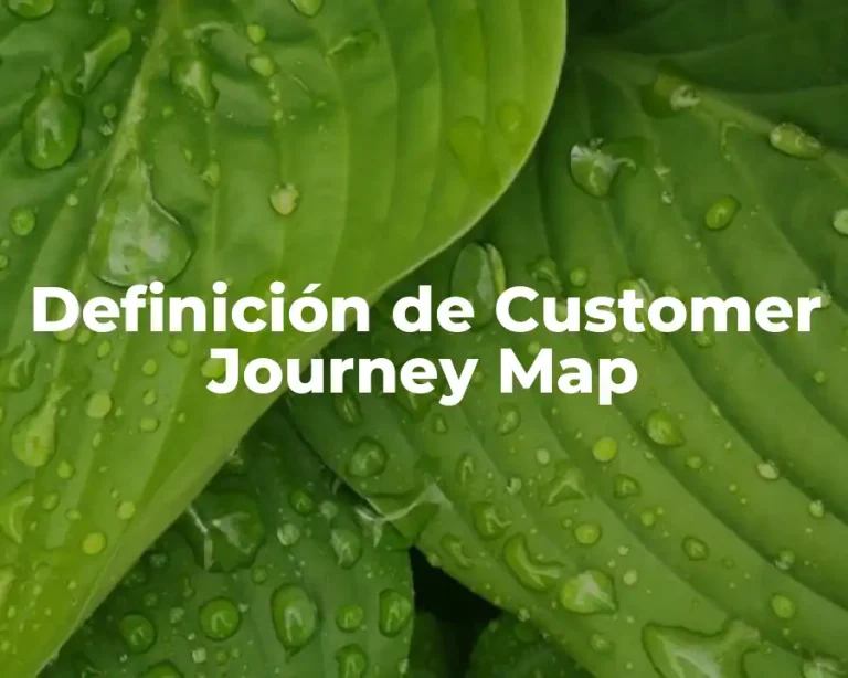 Definición de Customer Journey Map