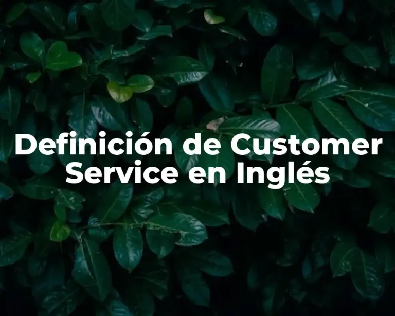Definición de Customer Service en Inglés