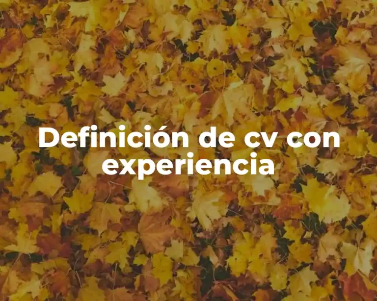 Definición de cv con experiencia