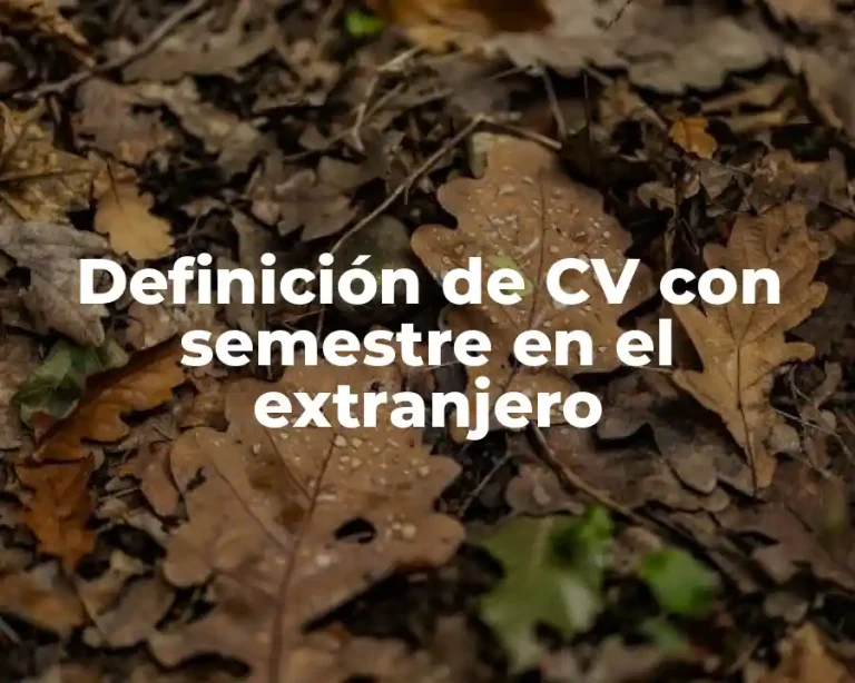 Definición de CV con semestre en el extranjero