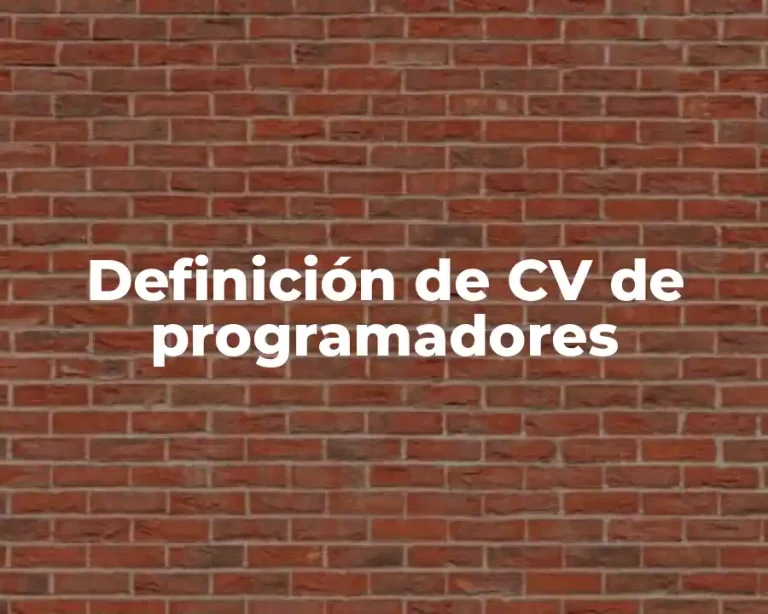 Definición de CV de programadores