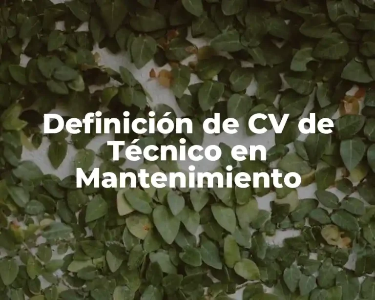 Definición de CV de Técnico en Mantenimiento