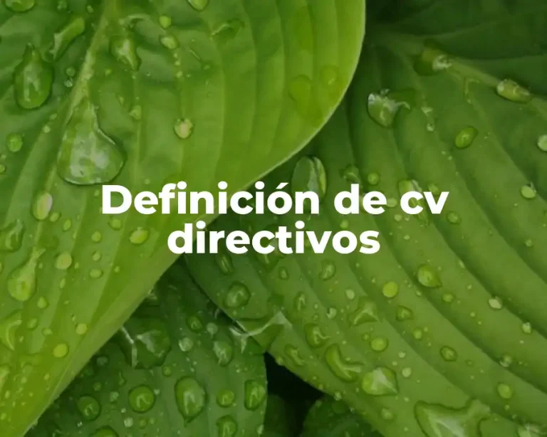 Definición de cv directivos