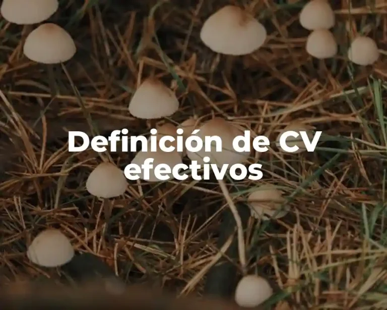 Definición de CV efectivos