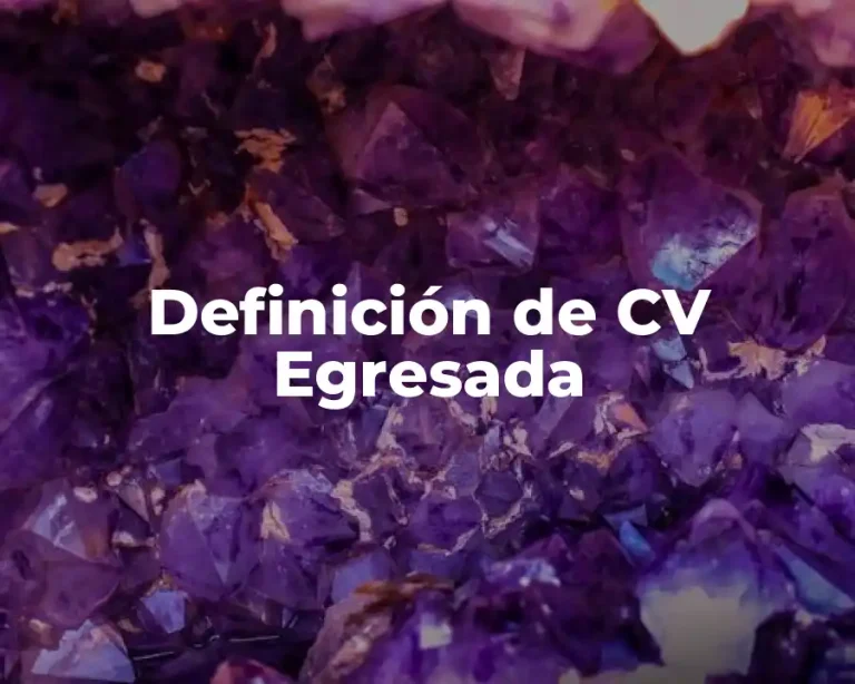 Definición de CV Egresada
