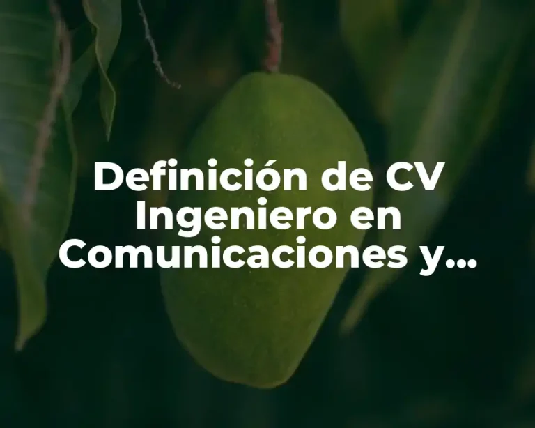 Definición de CV Ingeniero en Comunicaciones y Electrónica