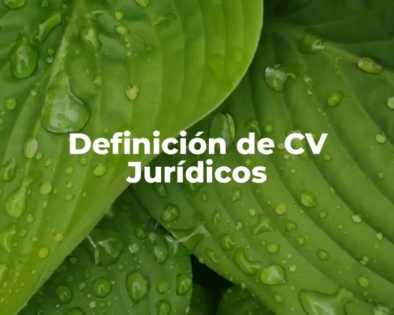 Definición de CV Jurídicos