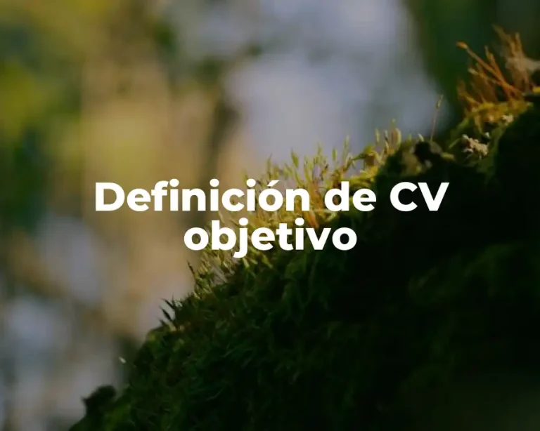 Definición de CV objetivo