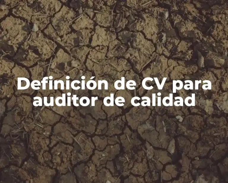 Definición de CV para auditor de calidad