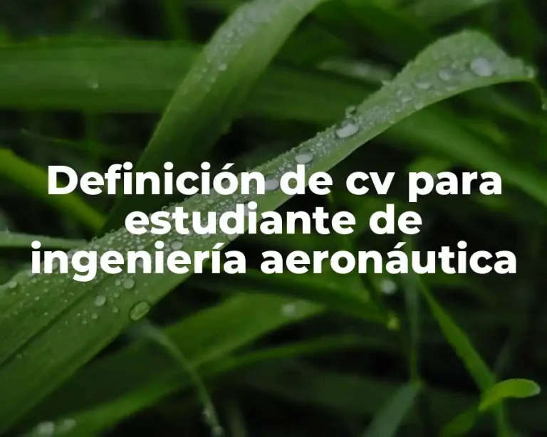 Definición de cv para estudiante de ingeniería aeronáutica