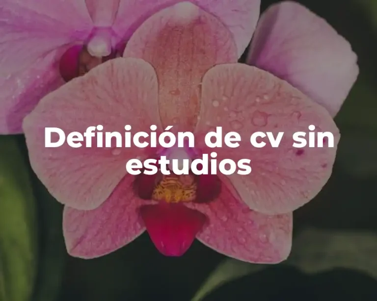 Definición de cv sin estudios