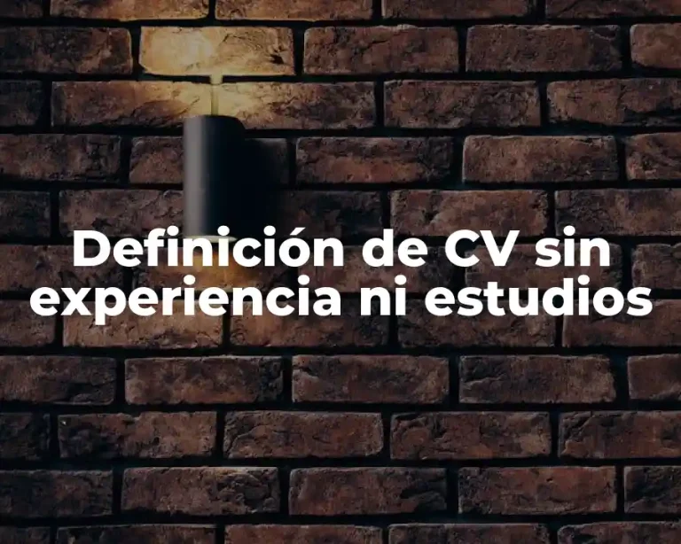 Definición de CV sin experiencia ni estudios