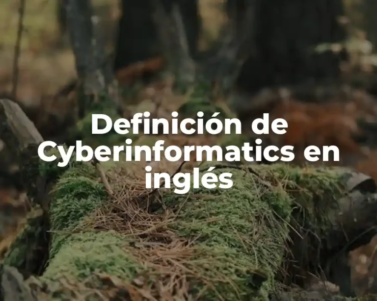 Definición de Cyberinformatics en inglés