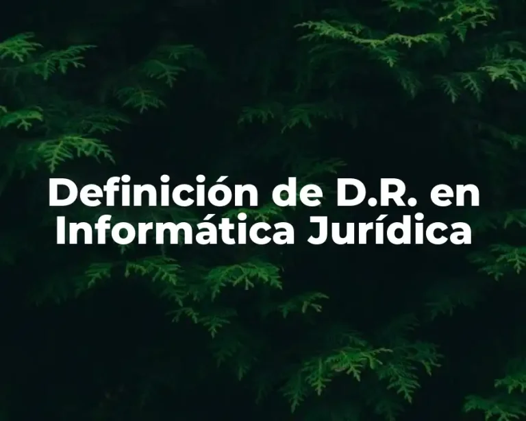 Definición de D.R. en Informática Jurídica