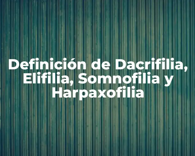 Definición de Dacrifilia, Elifilia, Somnofilia y Harpaxofilia