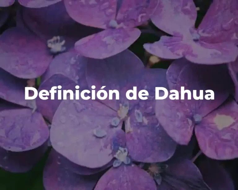 Definición de Dahua