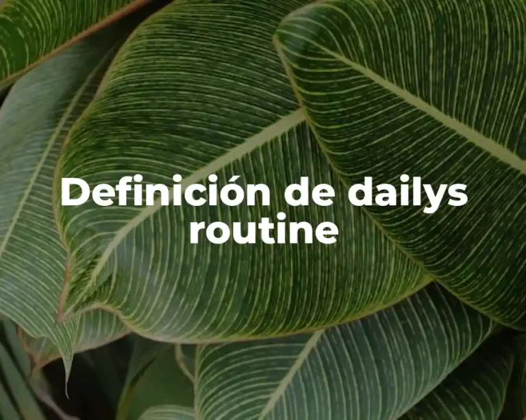 Definición de dailys routine