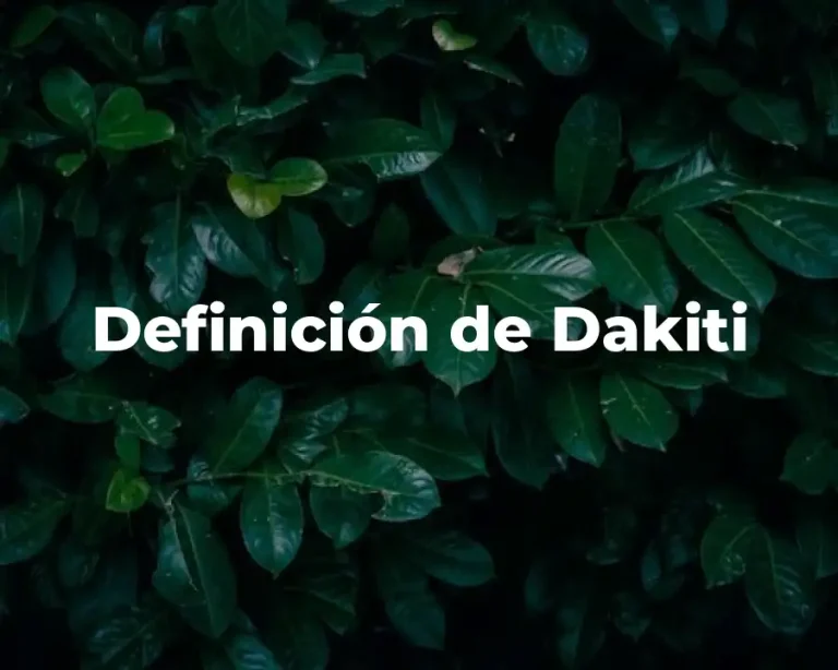 Definición de Dakiti