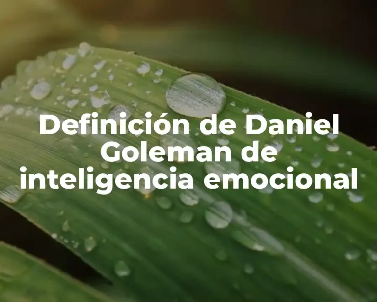 Definición de Daniel Goleman de inteligencia emocional