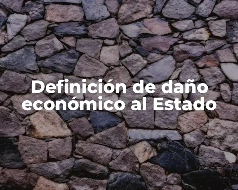 Definición de daño económico al Estado