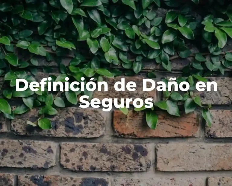 Definición de Daño en Seguros