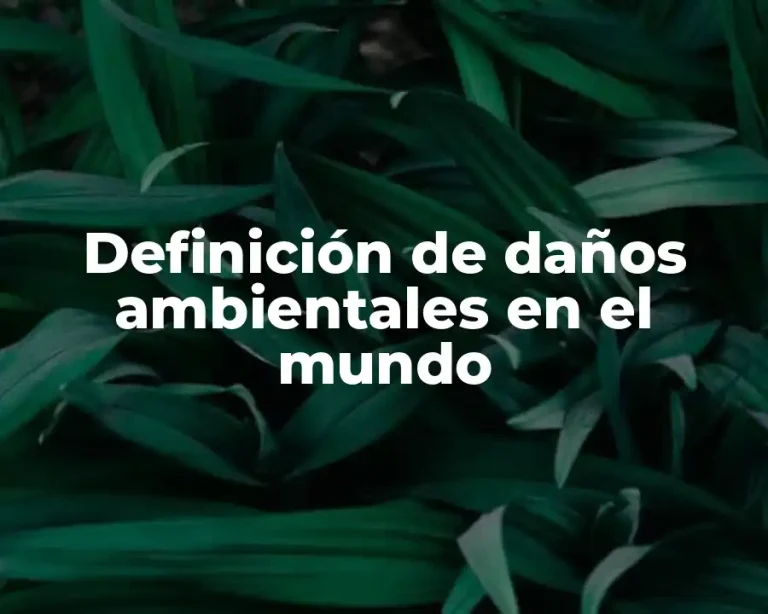 Definición de daños ambientales en el mundo