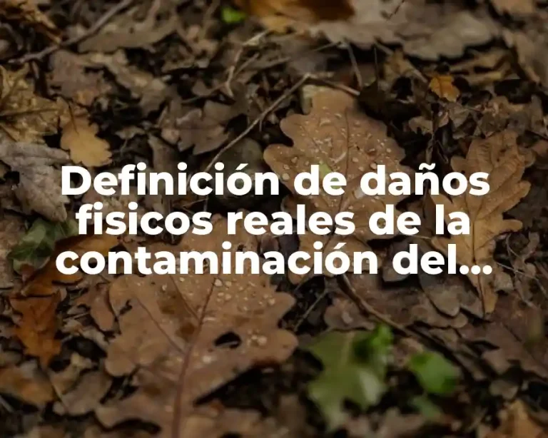 Definición de daños fisicos reales de la contaminación del ozono