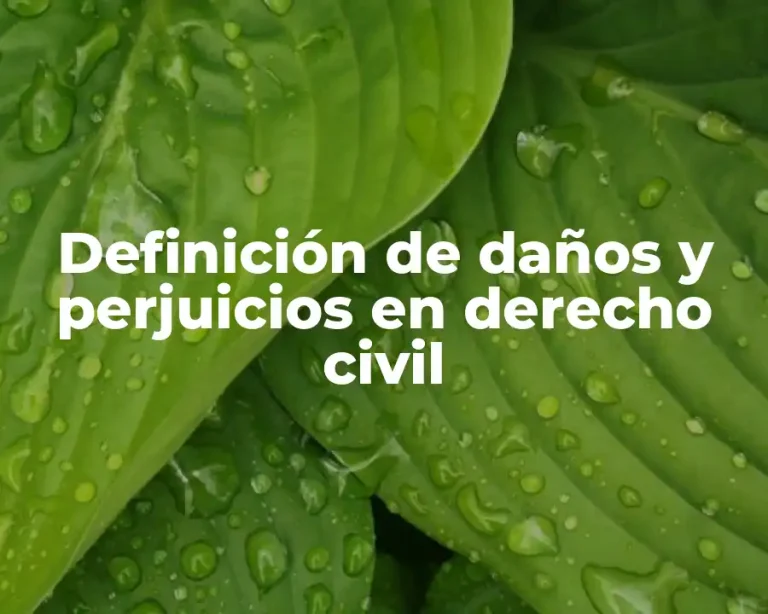 Definición de daños y perjuicios en derecho civil