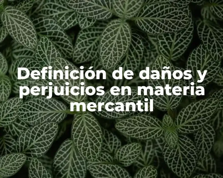 Definición de daños y perjuicios en materia mercantil