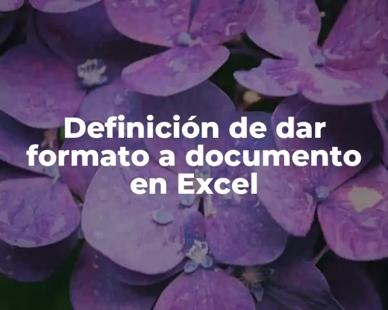 Definición de dar formato a documento en Excel