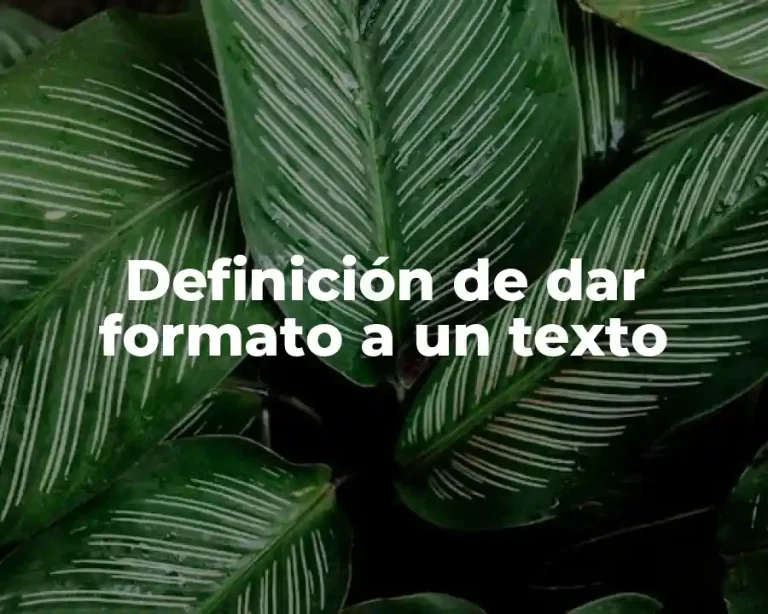 Definición de dar formato a un texto